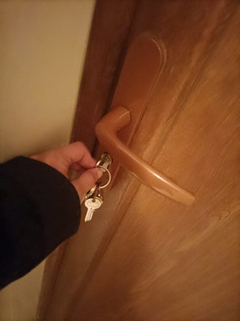 Poignée de la porte